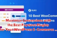 Maximize Conversions with the Best Payment Plugins for Your WordPress E-Commerce Store